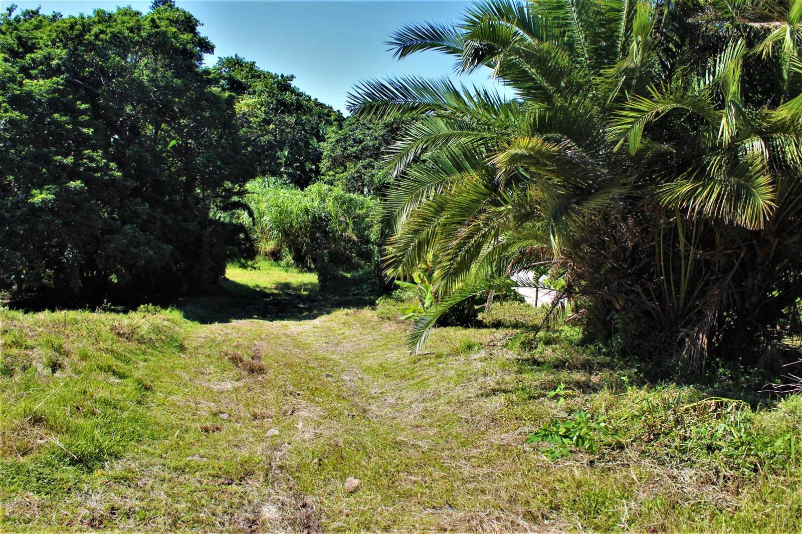 2080 m² Land available in Palm Beach photo number 9