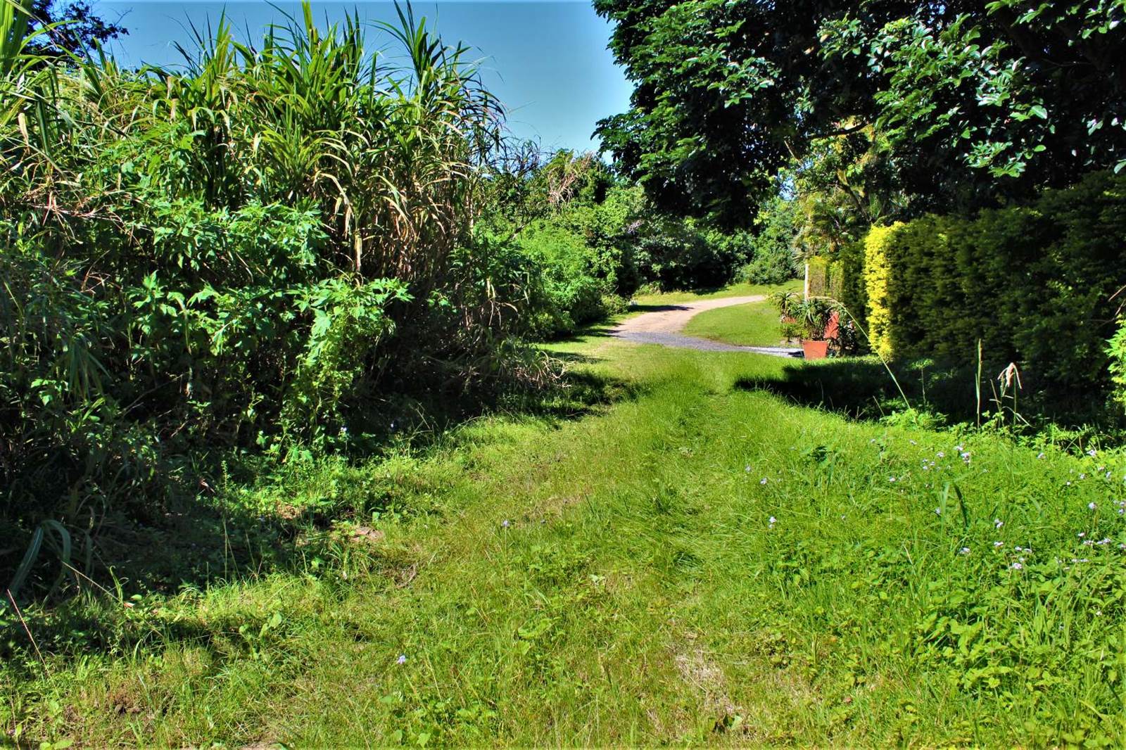 2080 m² Land available in Palm Beach photo number 12
