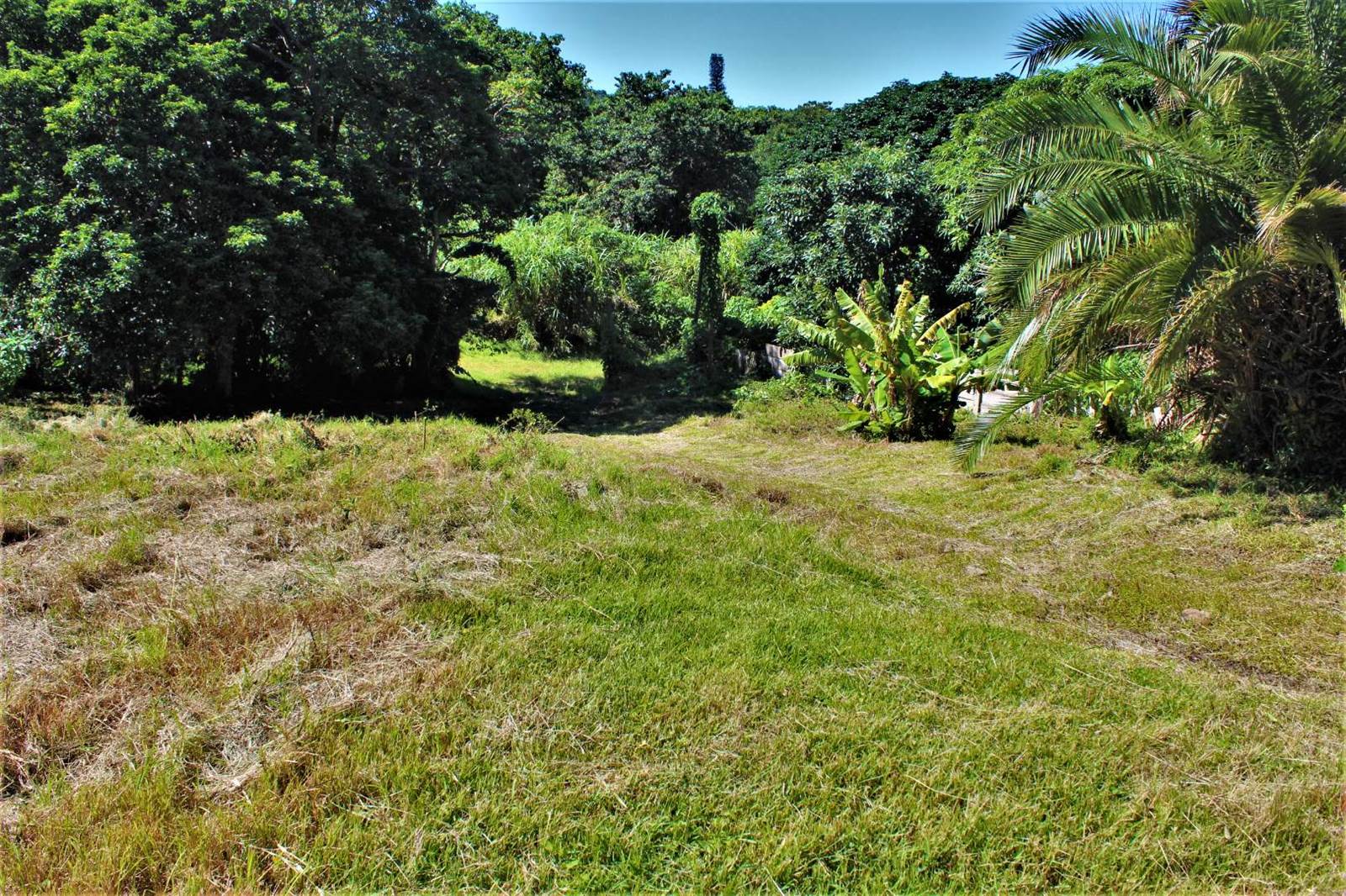 2080 m² Land available in Palm Beach photo number 8