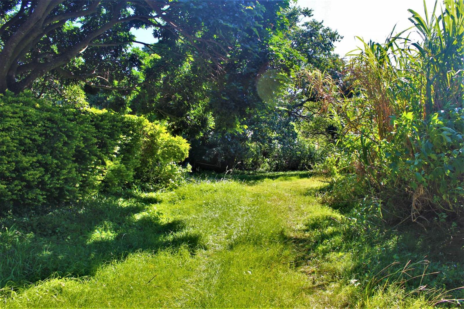 2080 m² Land available in Palm Beach photo number 2