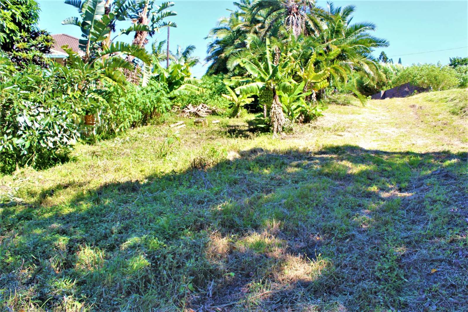2080 m² Land available in Palm Beach photo number 11