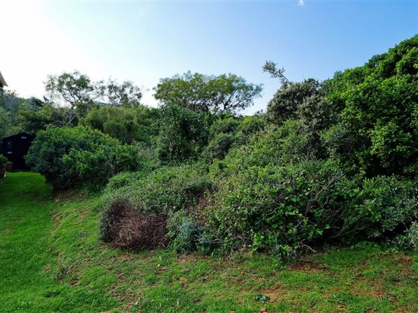 637 m² Land available in Jeffreys Bay