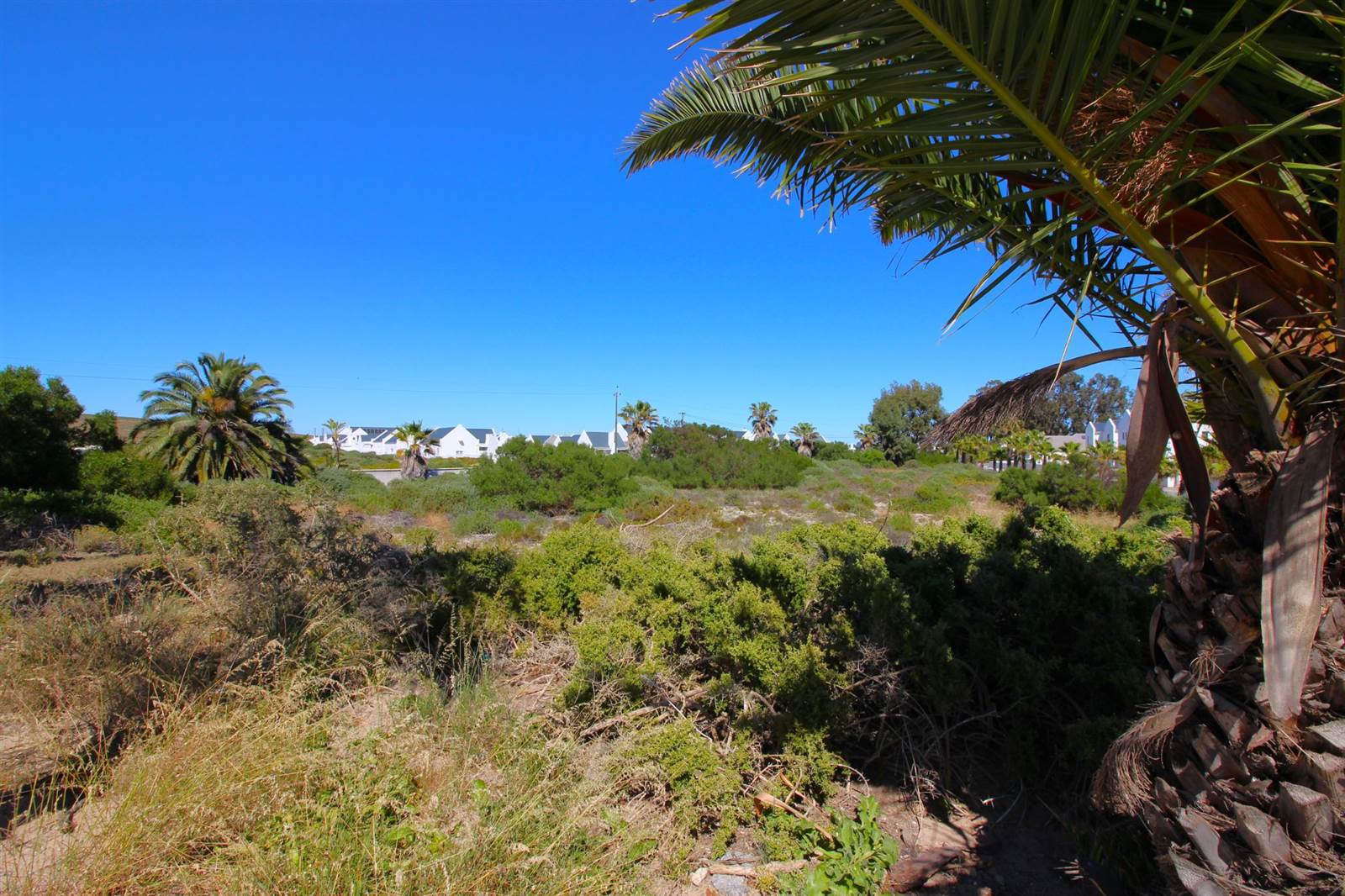 3397 m² Land available in Golden Mile photo number 5