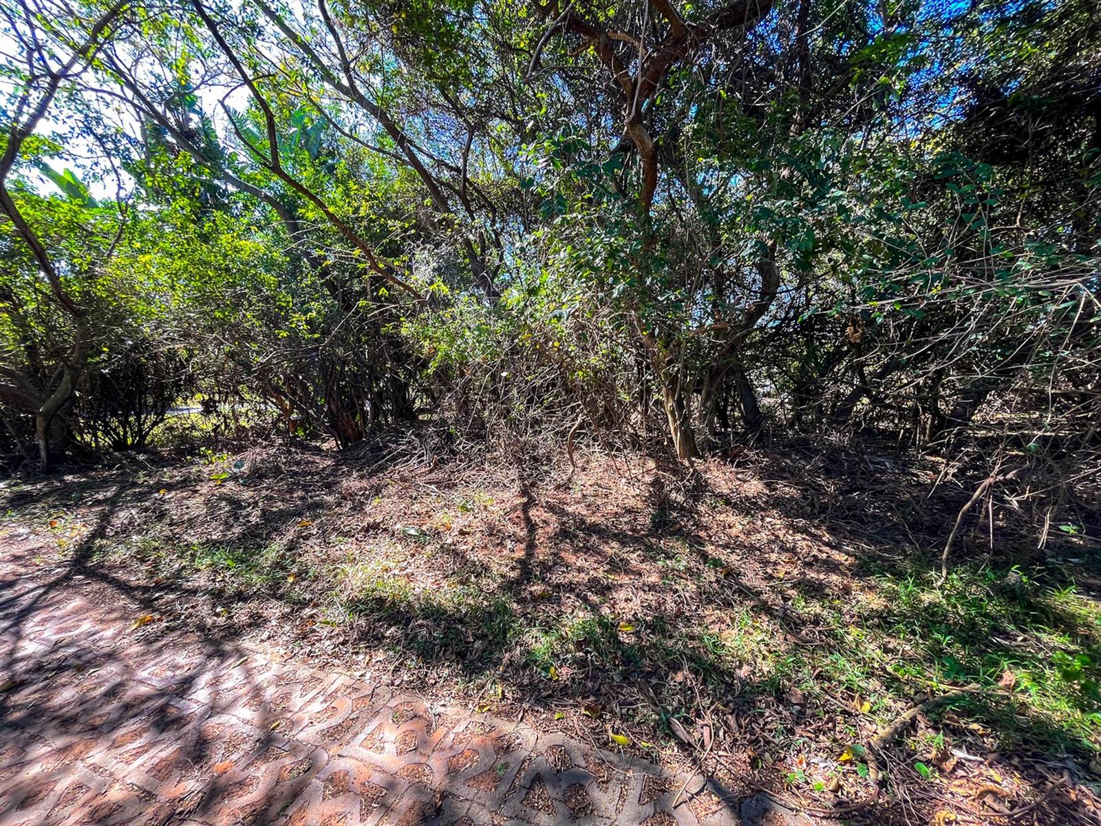 1136 m² Land available in Simbithi Estate photo number 5