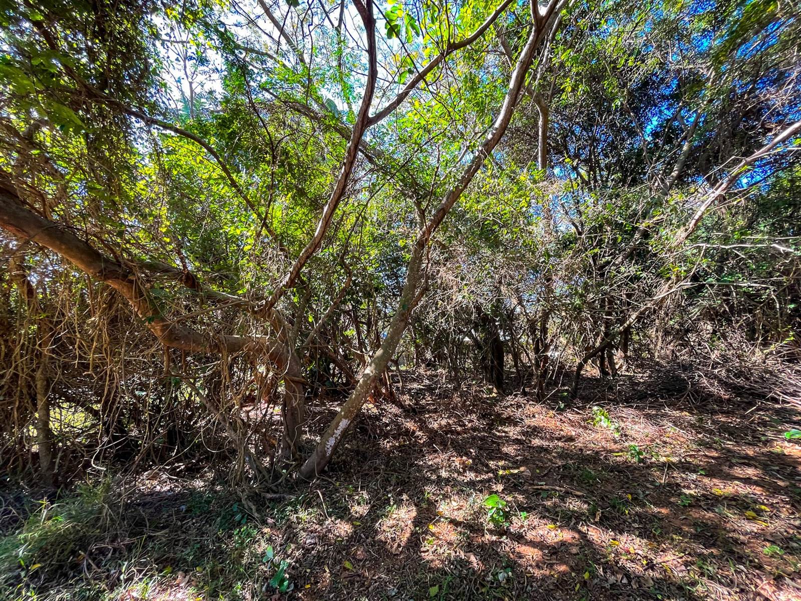 1136 m² Land available in Simbithi Estate photo number 4