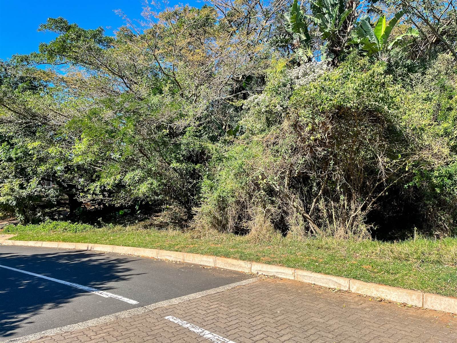 1136 m² Land available in Simbithi Estate photo number 9
