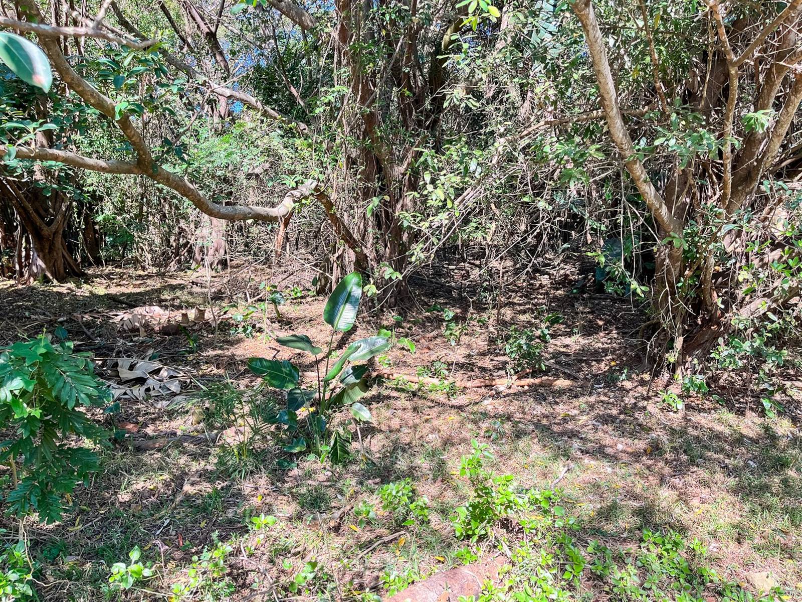 1136 m² Land available in Simbithi Estate photo number 10
