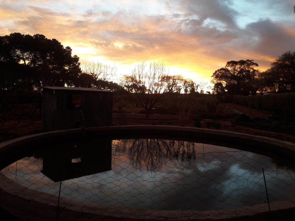 4 Bed House in Loxton photo number 18
