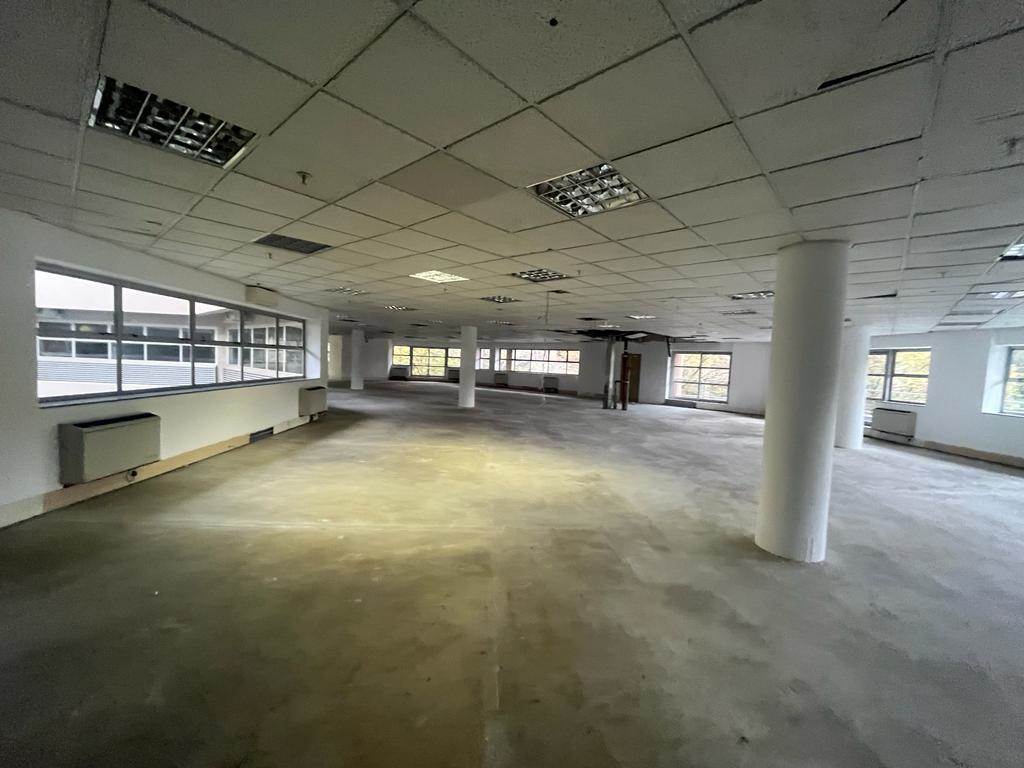 1322  m² Commercial space in Parktown photo number 14