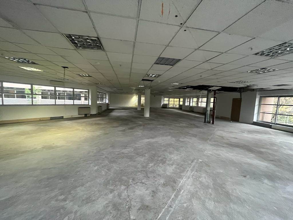1322  m² Commercial space in Parktown photo number 15