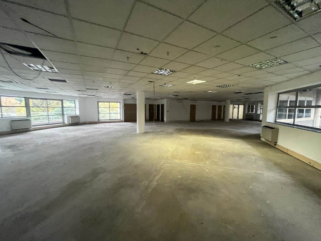 1322  m² Commercial space in Parktown photo number 6