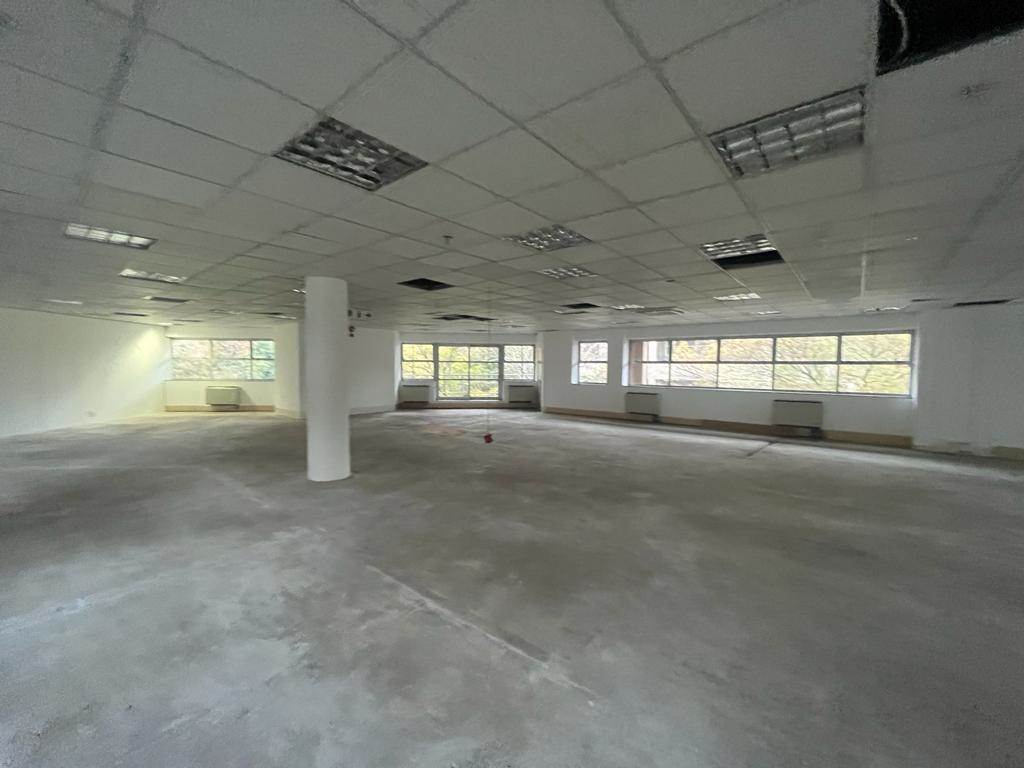 1322  m² Commercial space in Parktown photo number 16