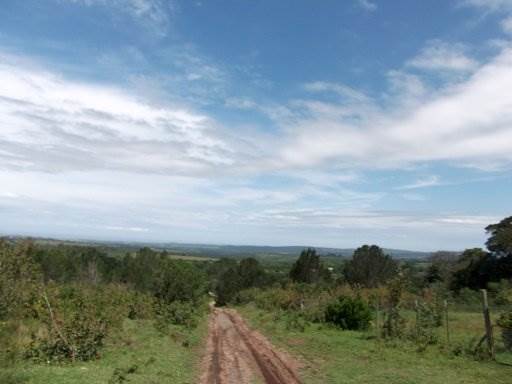 2000 m² Land available in Bathurst and Surrounds photo number 1