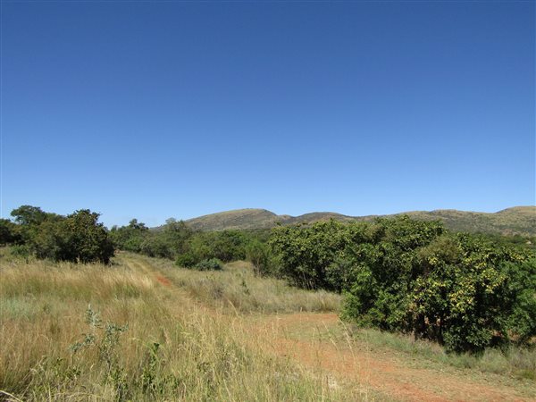 447 m² Land available in Seasons Lifestyle Estate