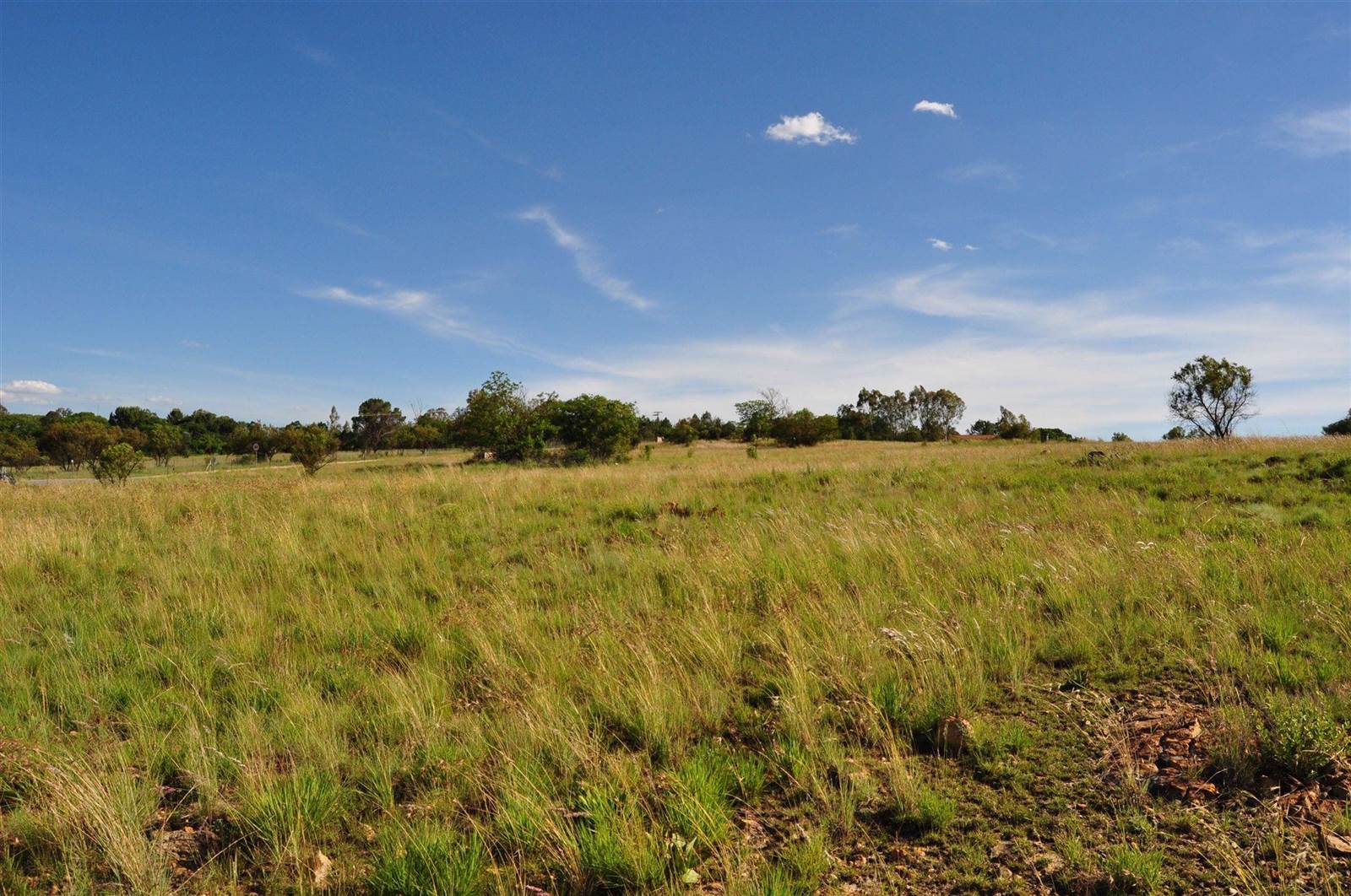 11.8 ha Land available in Lanseria and surrounds photo number 3