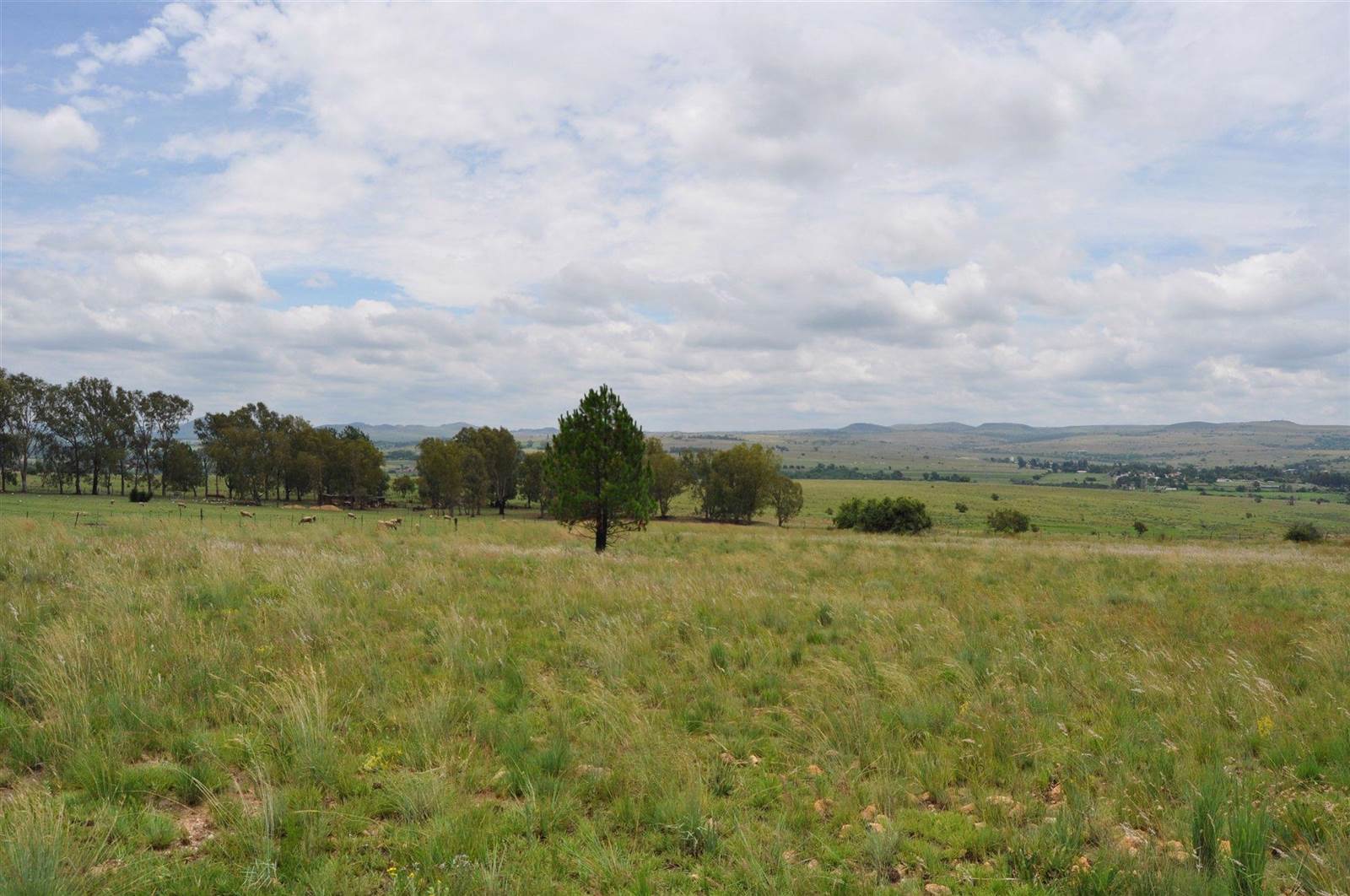 11.8 ha Land available in Lanseria and surrounds photo number 8