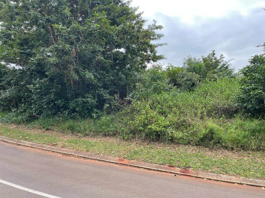 1775 m² Land available in Mtunzini photo number 5