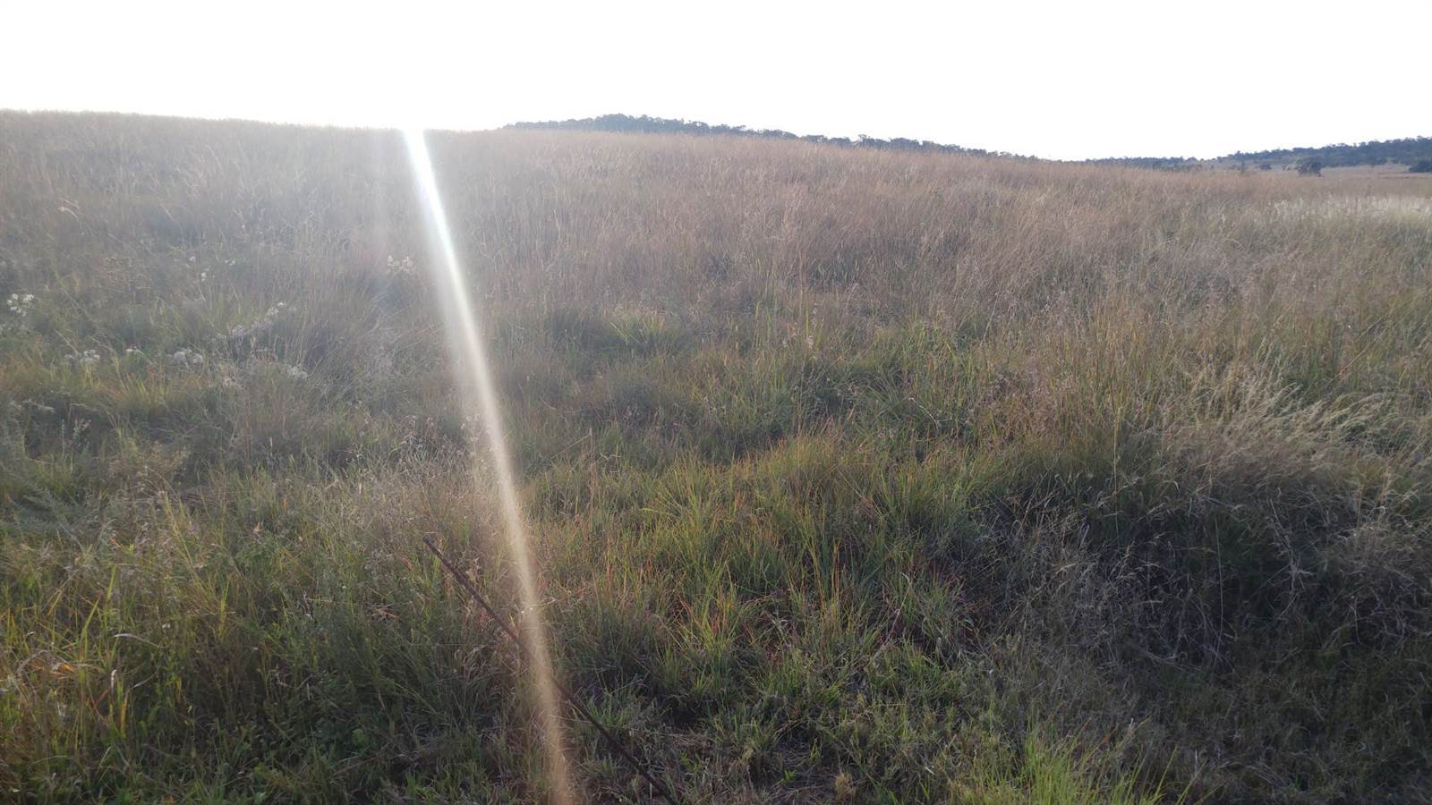 2000 m² Land available in Potchefstroom Central photo number 5