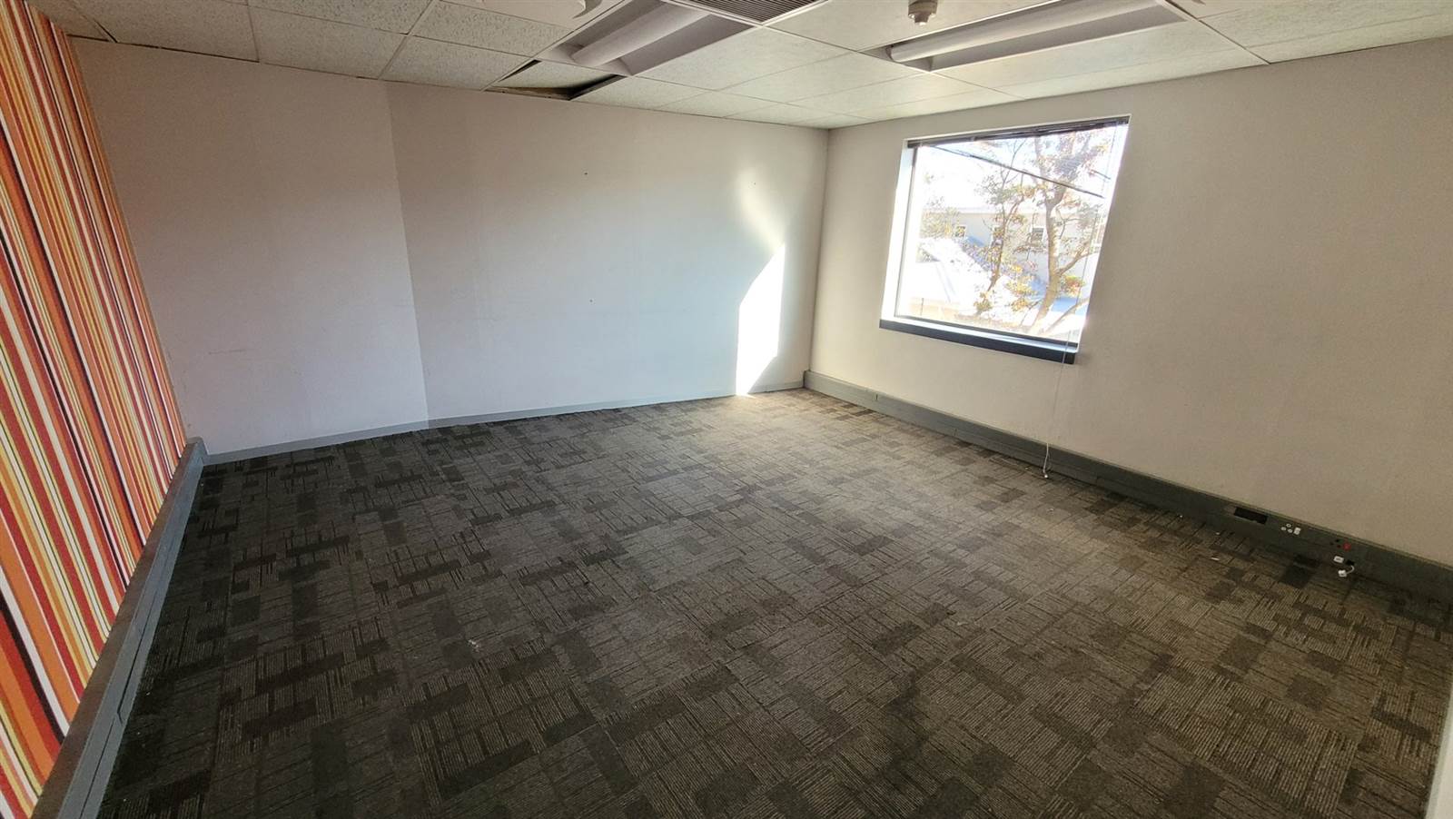 2835  m² Office Space in Brooklyn photo number 7