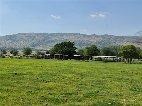 774 ha Farm in Hekpoort