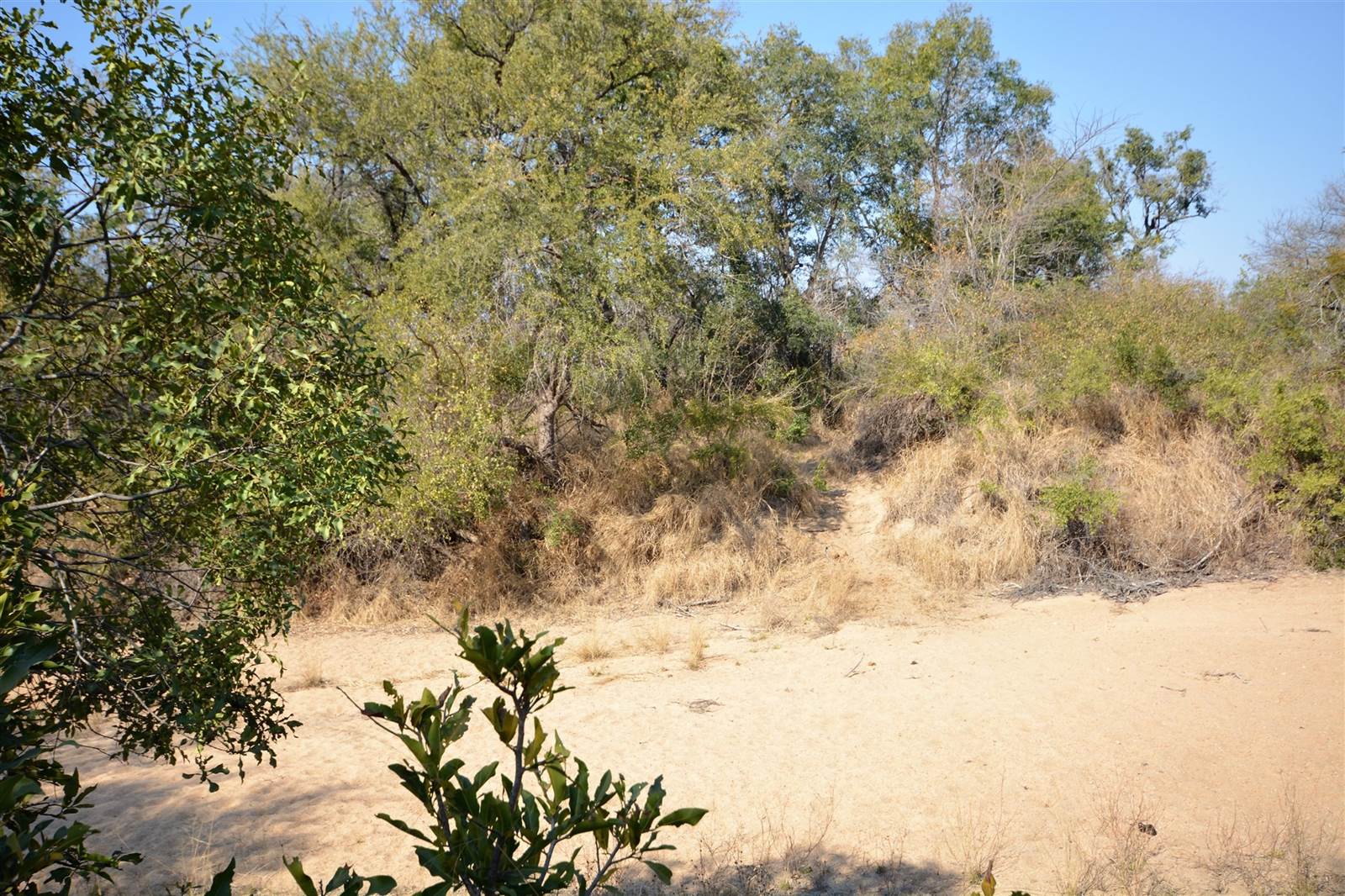1 ha Land available in Moditlo Nature Reserve photo number 8