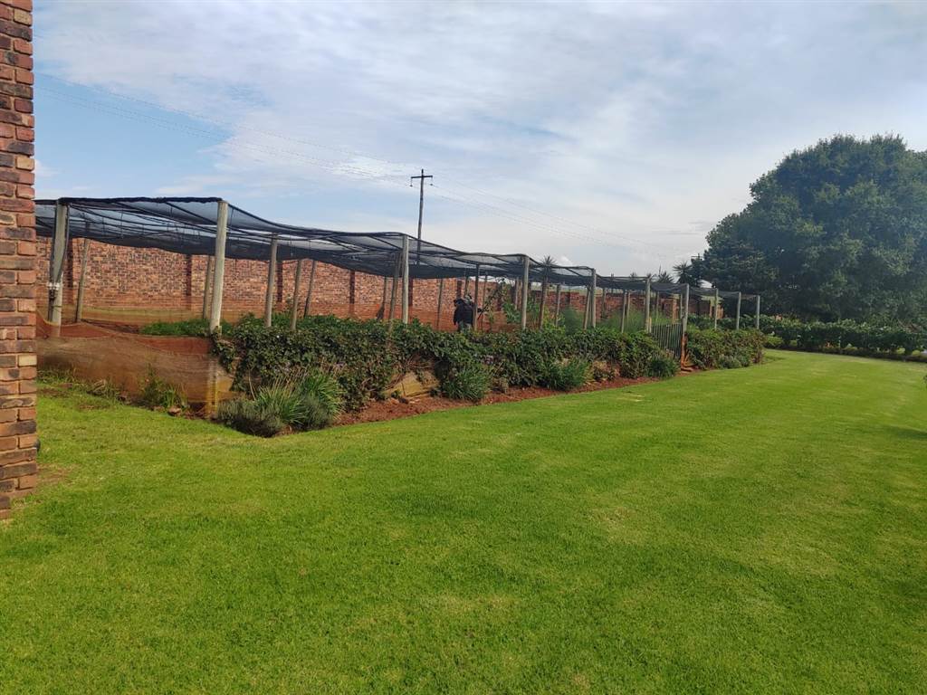 8800 m² Smallholding in Elandsfontein AH photo number 17