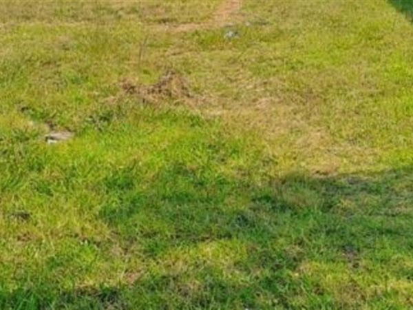 665 m² Land