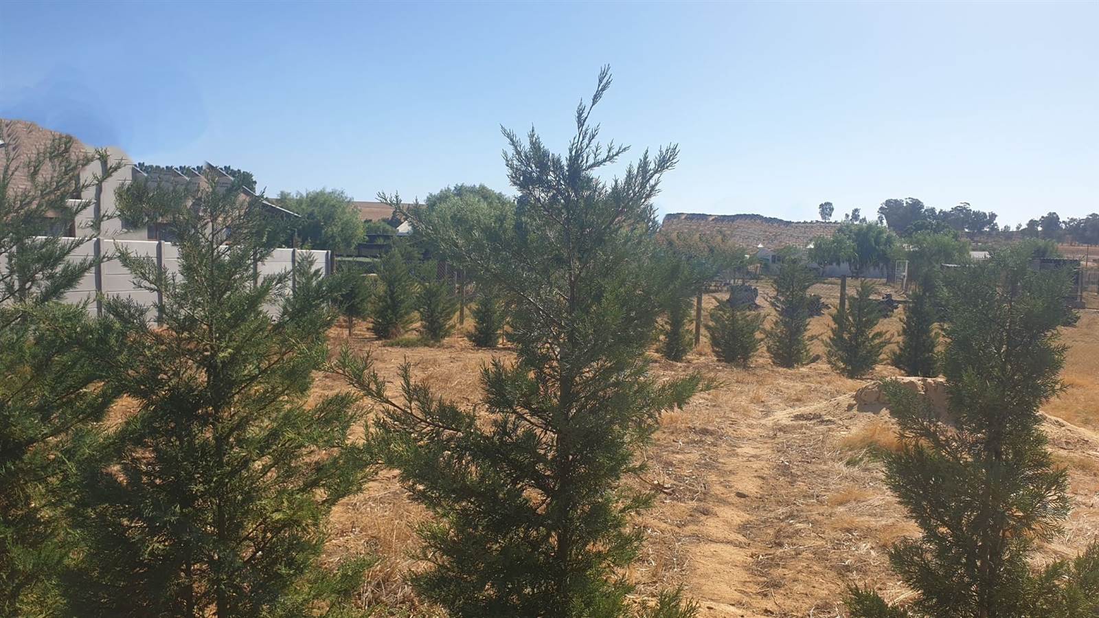 1984 m² Land available in Citrusdal photo number 8