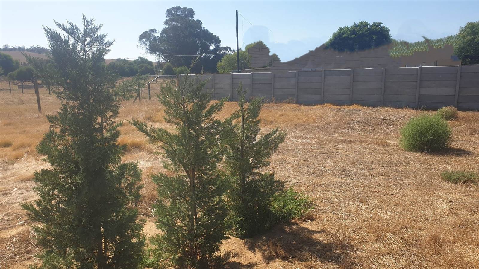 1984 m² Land available in Citrusdal photo number 9