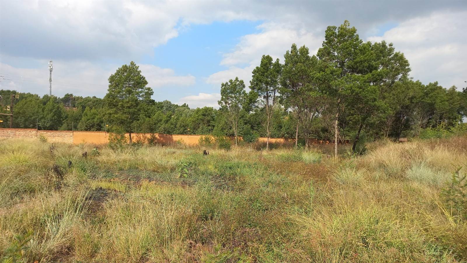 5000 m² Land available in Rietfontein photo number 6
