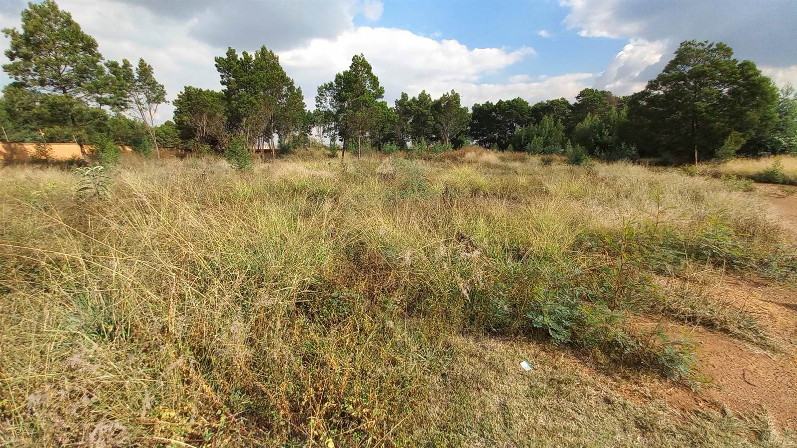 5000 m² Land available in Rietfontein photo number 2