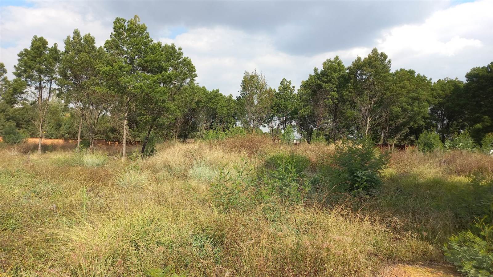 5000 m² Land available in Rietfontein photo number 7