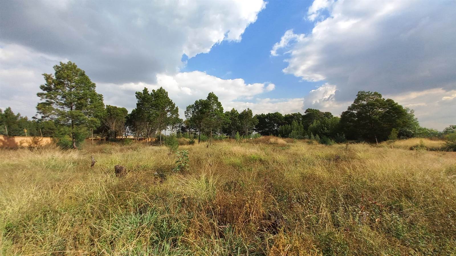 5000 m² Land available in Rietfontein photo number 17