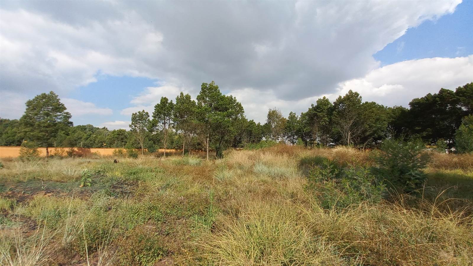 5000 m² Land available in Rietfontein photo number 9