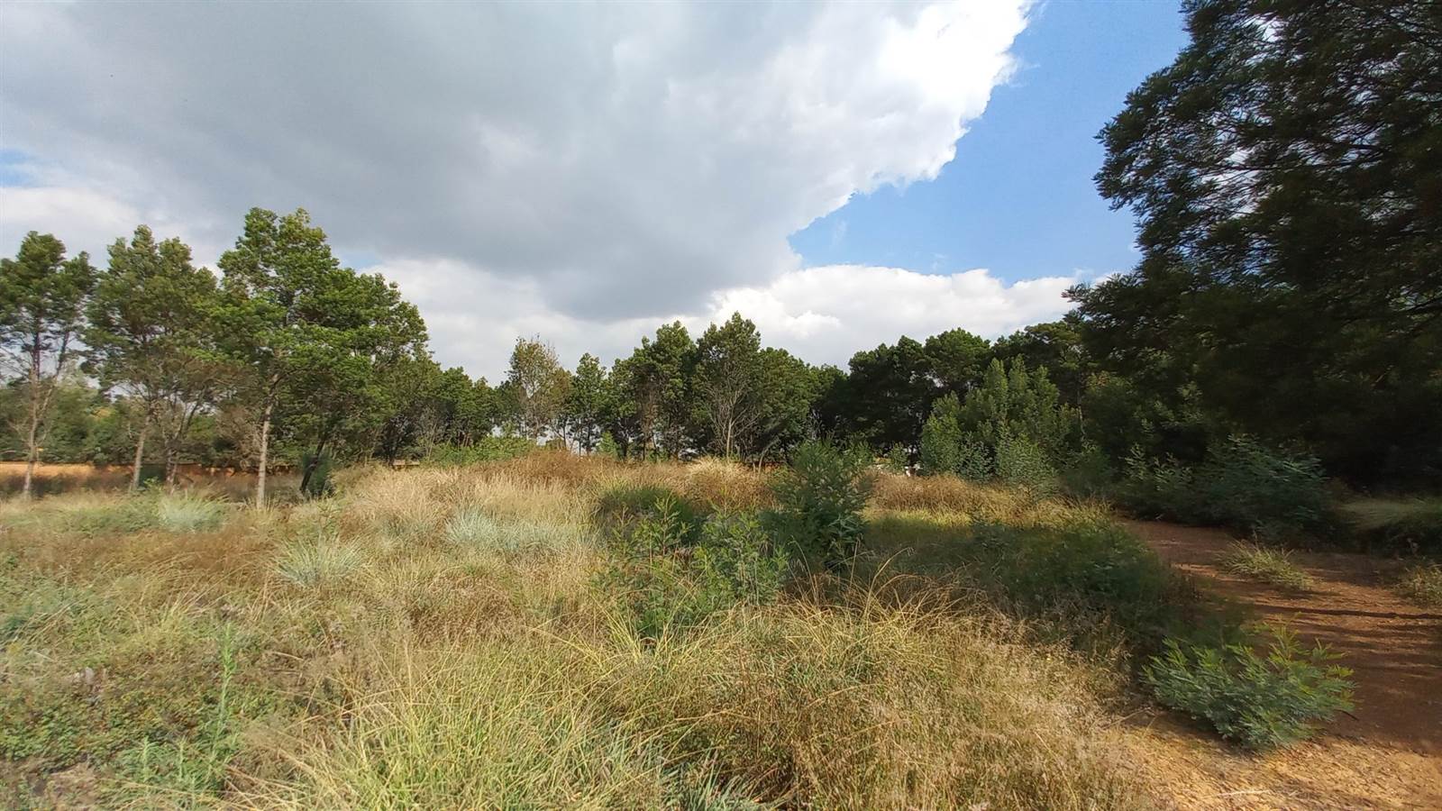 5000 m² Land available in Rietfontein photo number 8