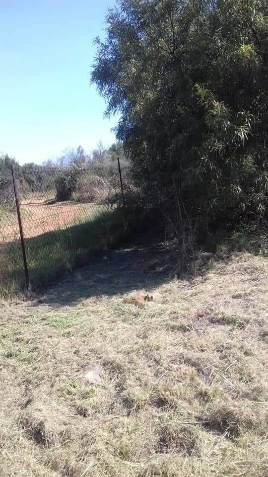 1.2 ha Land available in Kameelfontein and surrounds photo number 12