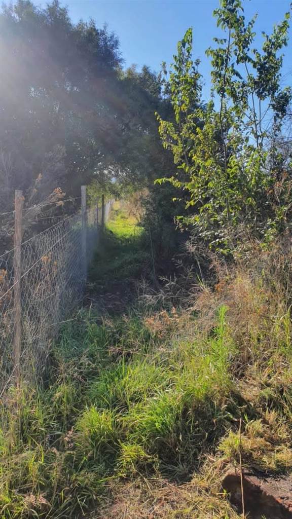 1.2 ha Land available in Kameelfontein and surrounds photo number 14