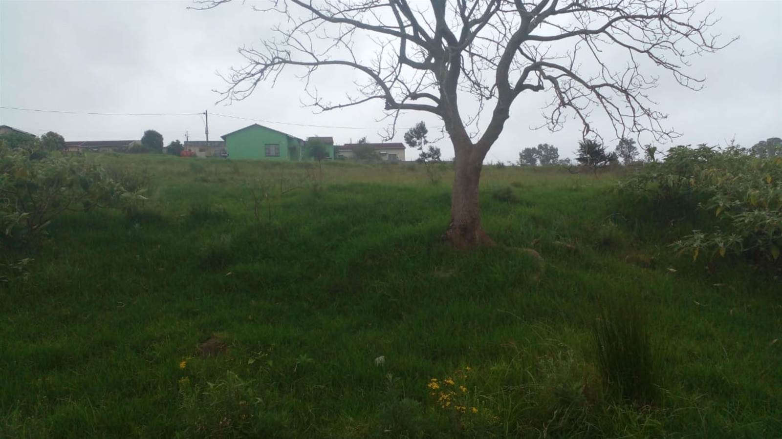 406 m² Land available in Hillcrest photo number 4
