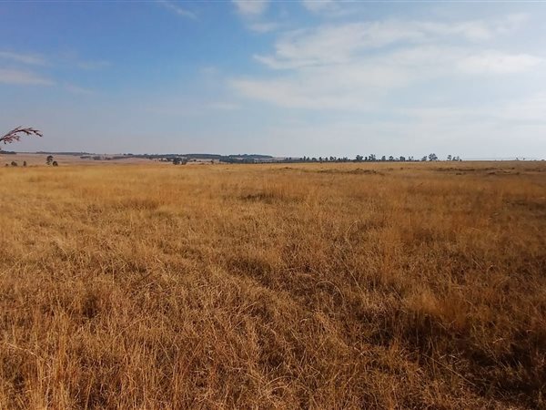 161.8 ha Farm 161.8 ha Farm