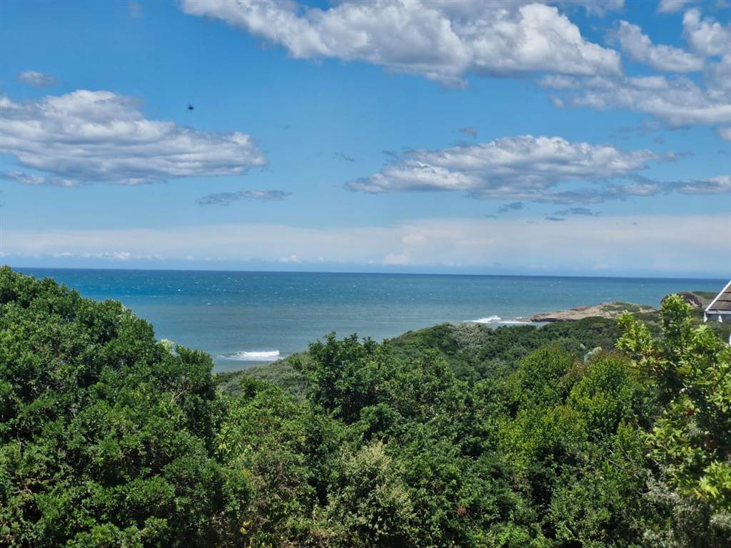 714 m² Land available in Cove Rock photo number 4