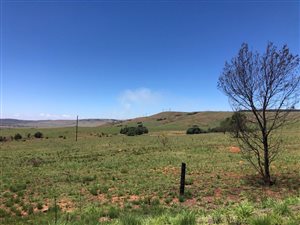 170 ha Farm in Estcourt