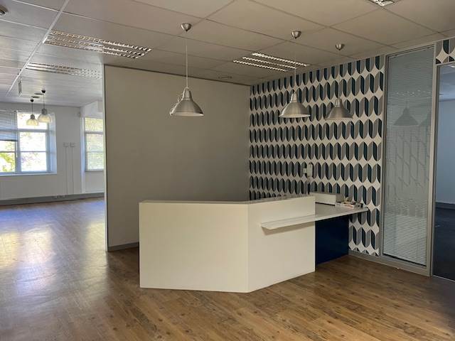 432  m² Commercial space in Rondebosch photo number 4