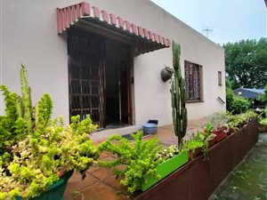 1 Bed Apartment in Clarendon