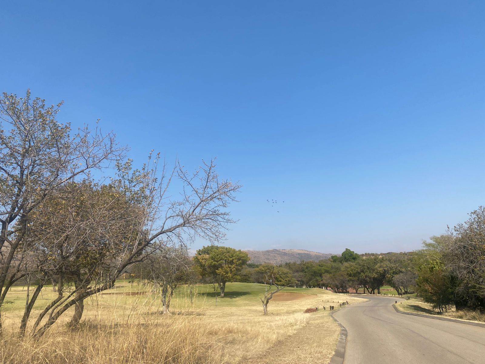 754 m² Land available in Seasons Lifestyle Estate photo number 8