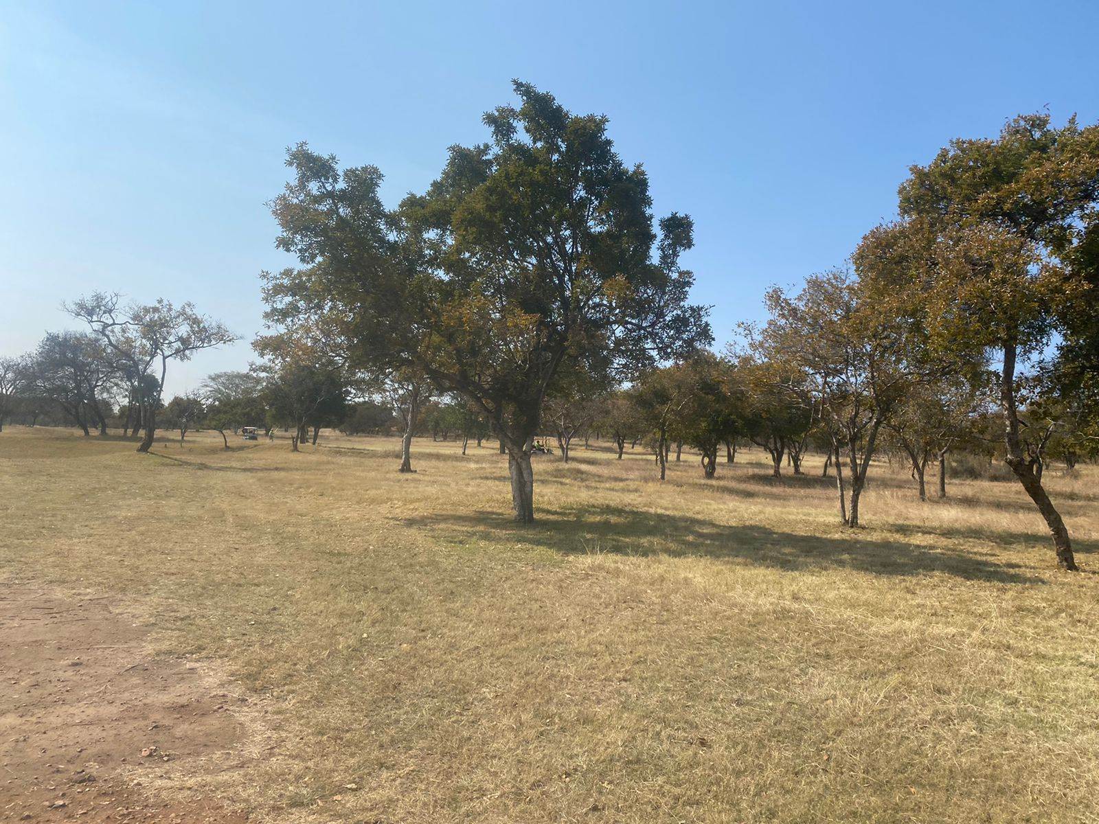 754 m² Land available in Seasons Lifestyle Estate photo number 9