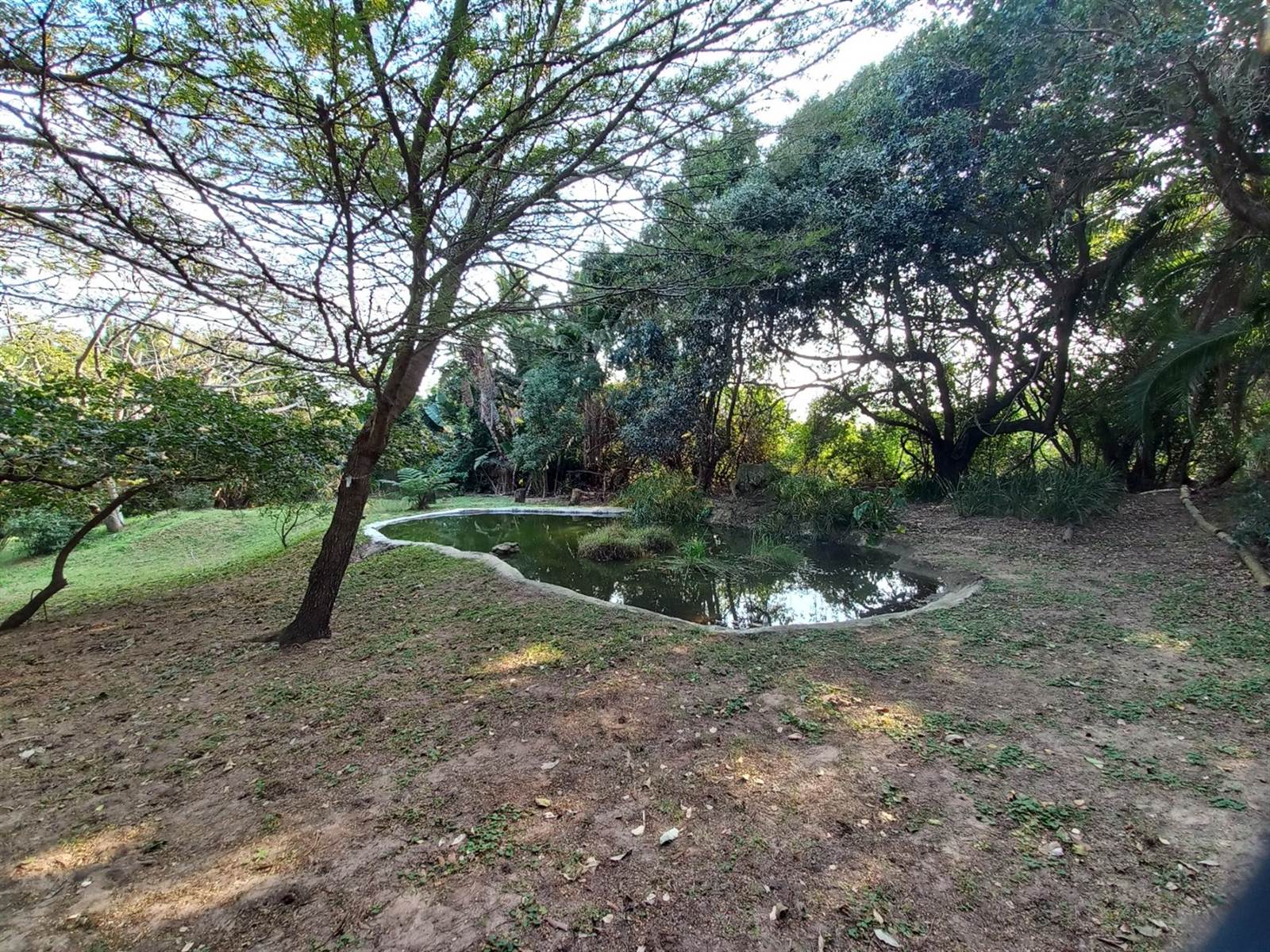 2120 m² Land available in Woodgrange photo number 8