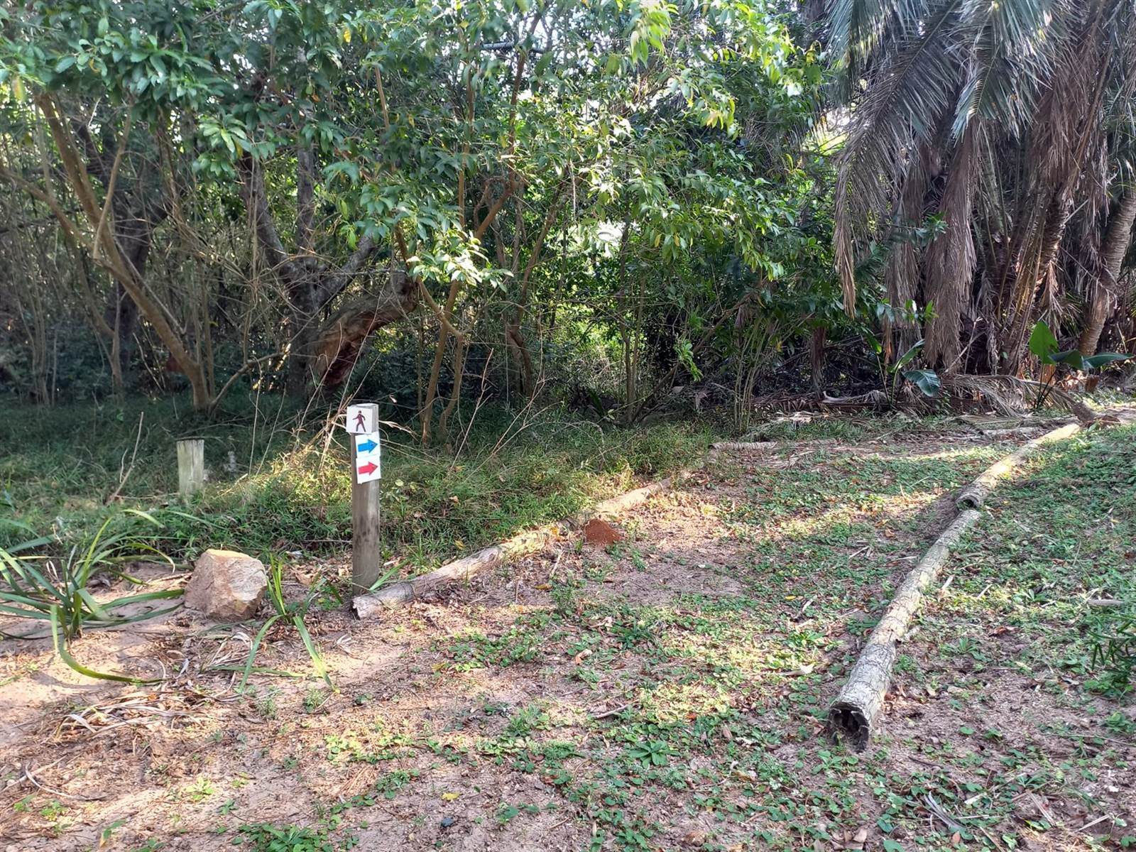 2120 m² Land available in Woodgrange photo number 9