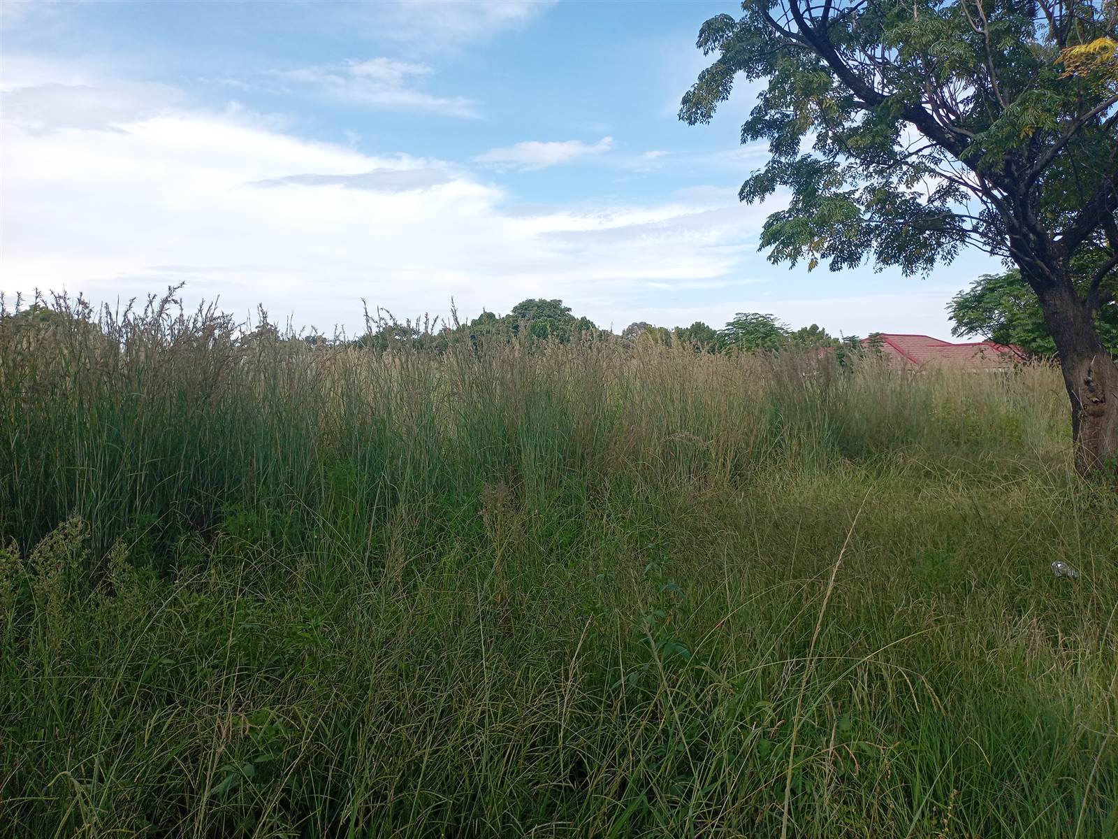 1000 m² Land available in Amajuba Park photo number 5