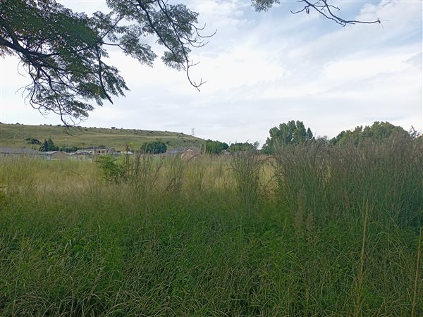 1000 m² Land available in Amajuba Park