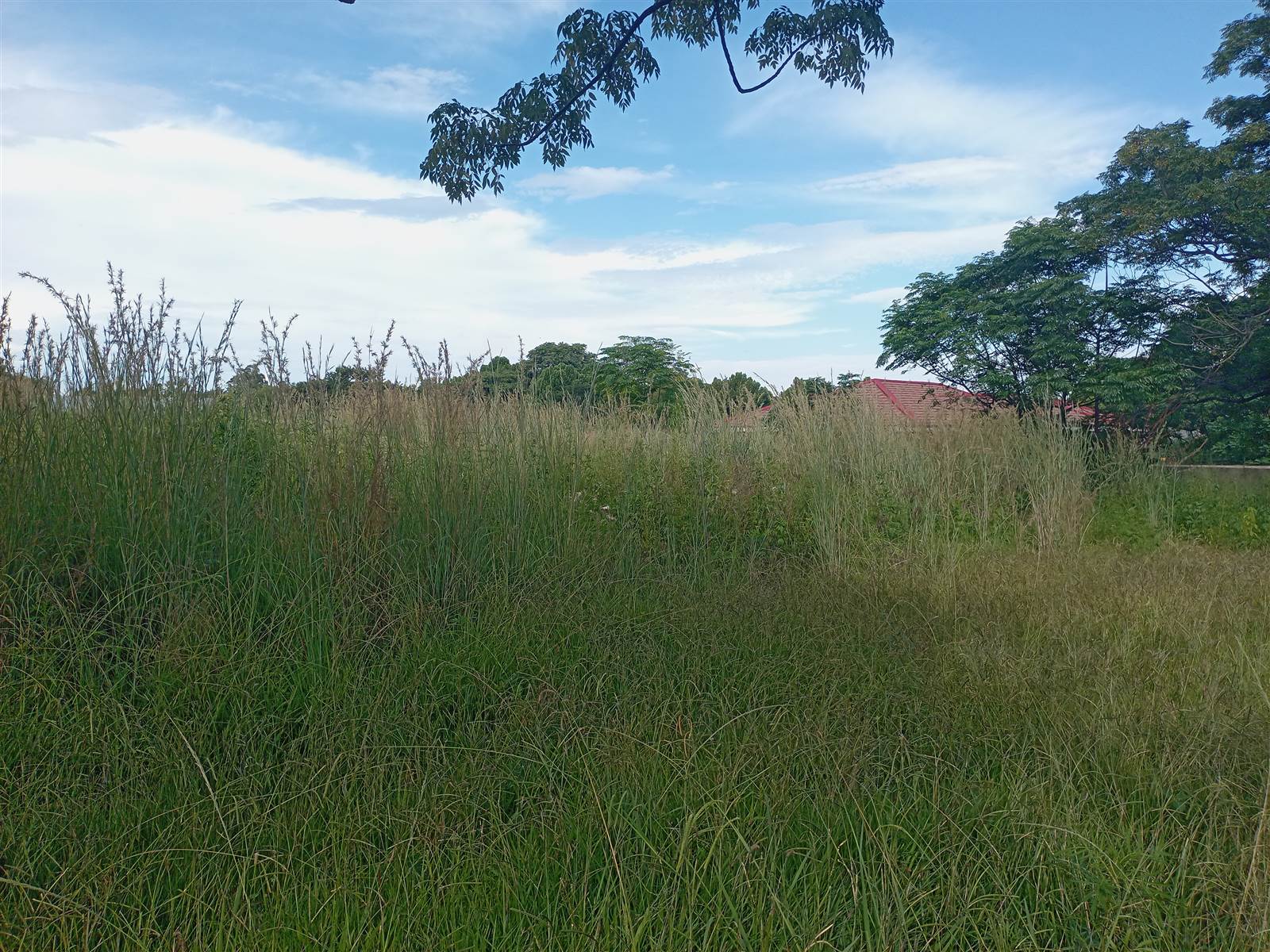 1000 m² Land available in Amajuba Park photo number 3